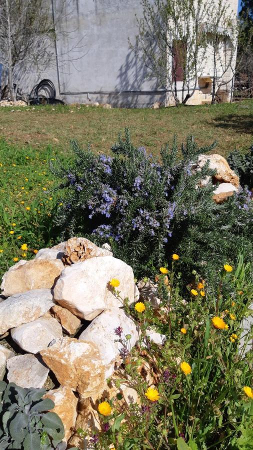 Casa Alle Vigne Polignano a Mare Exteriör bild