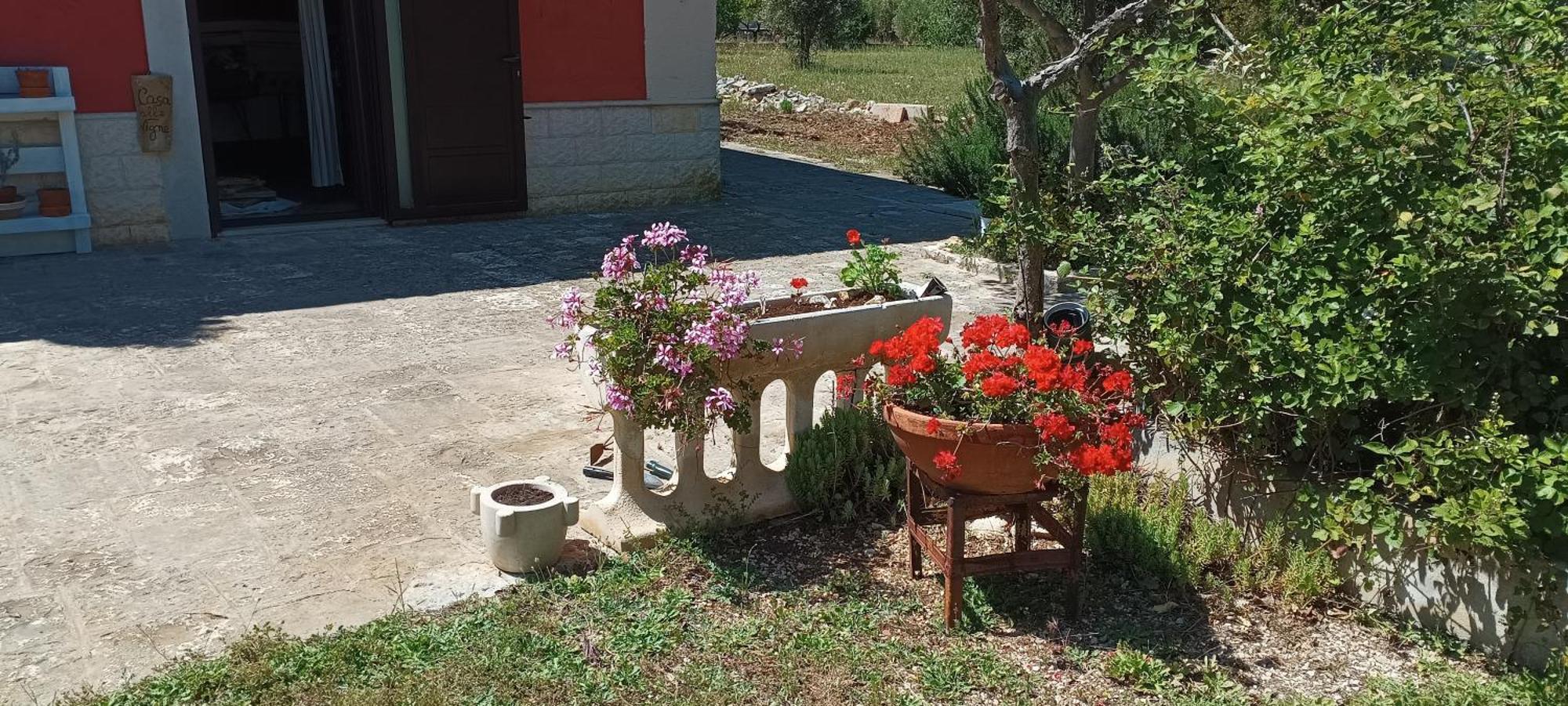 Casa Alle Vigne Polignano a Mare Exteriör bild