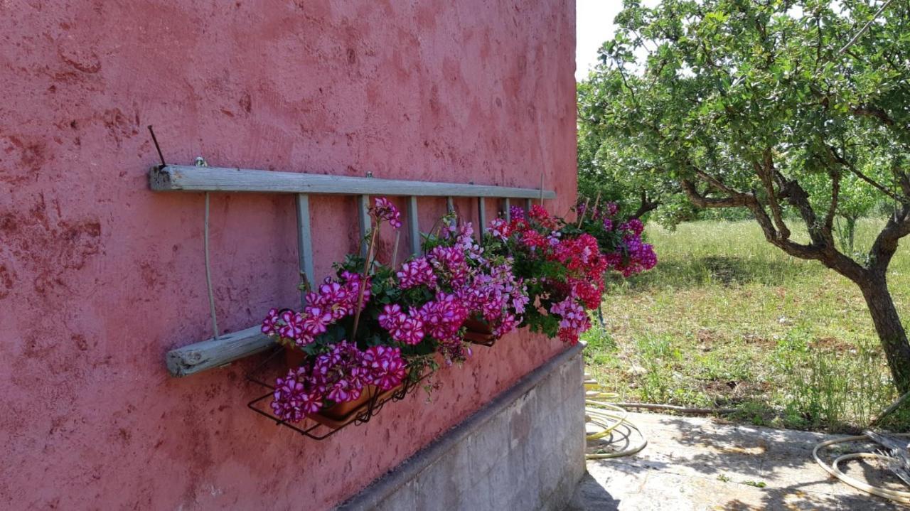Casa Alle Vigne Polignano a Mare Exteriör bild